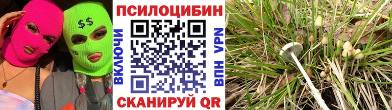 Псилоцибиновые грибы Psilocybe Петушки